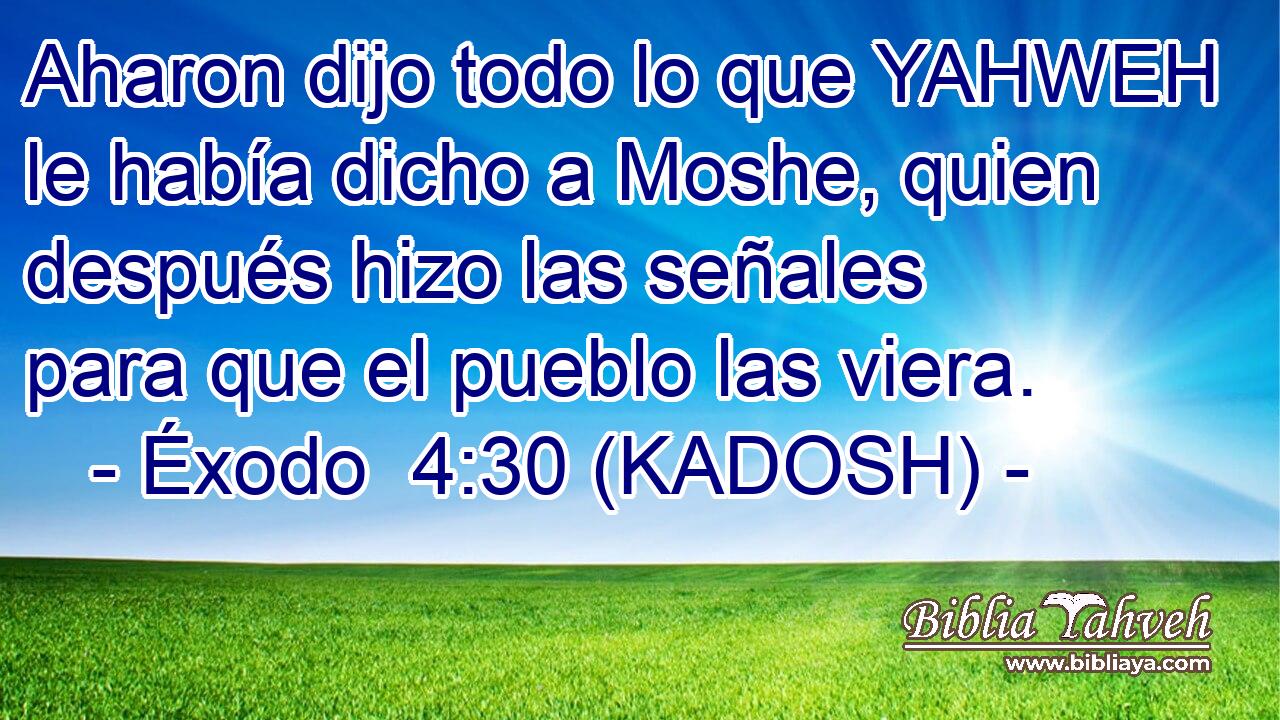  Aharon dijo todo lo que YAHWEH le había dicho a Moshe, quien después hizo las señales para que el pueblo las viera. 