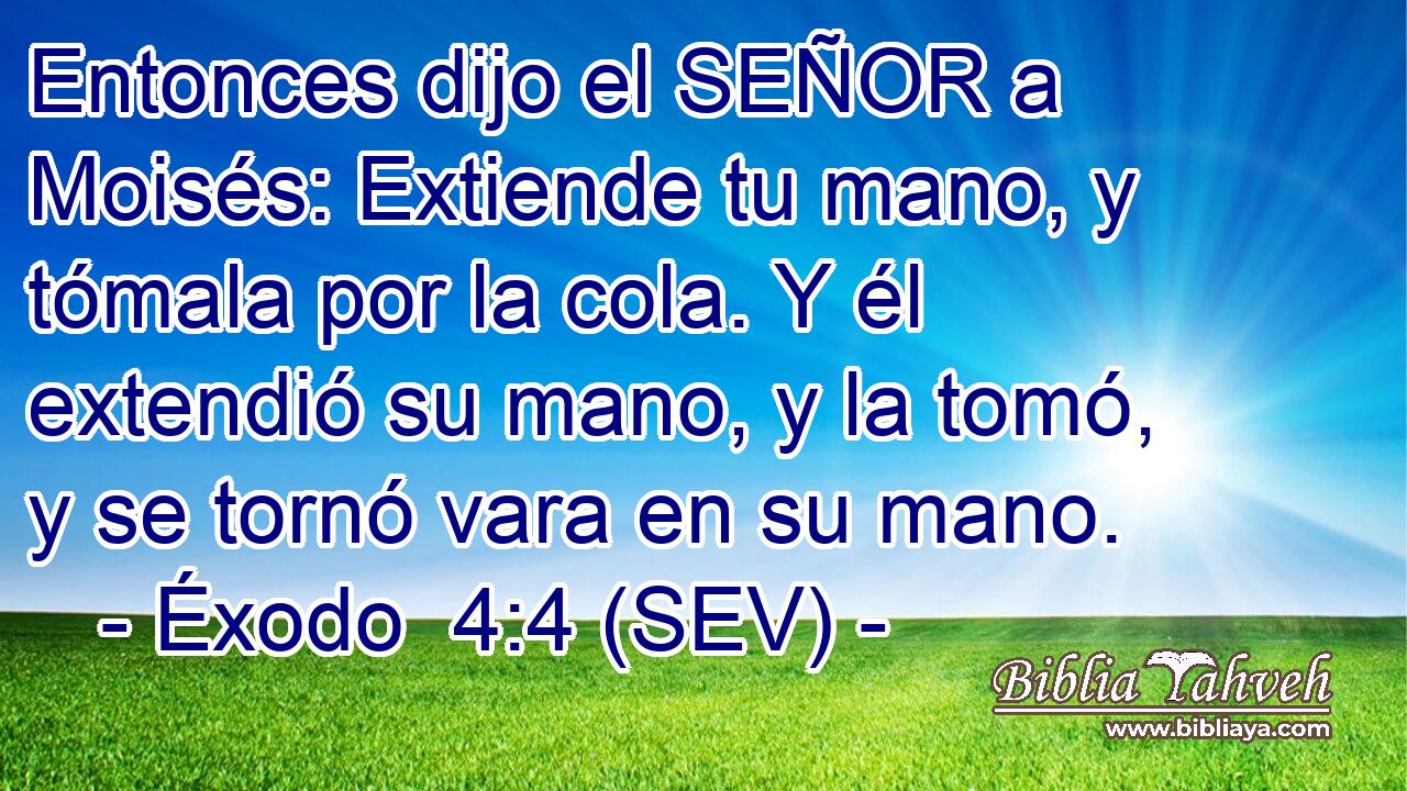 Entonces dijo el SEÑOR a Moisés: Extiende tu mano, y tómala por la cola. Y él extendió su mano, y la tomó, y se tornó vara en su mano.