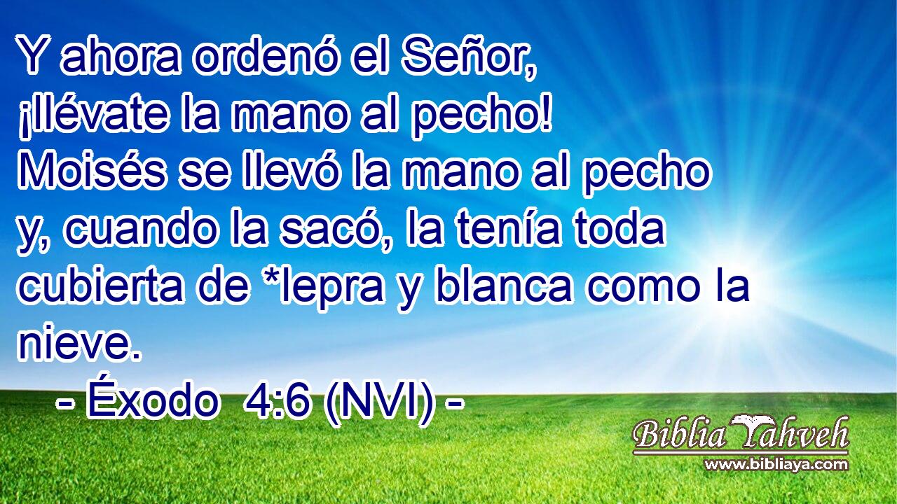  Y ahora ordenó el Señor, ¡llévate la mano al pecho! Moisés se llevó la mano al pecho y, cuando la sacó, la tenía toda cubierta de *lepra y blanca como la nieve. 
