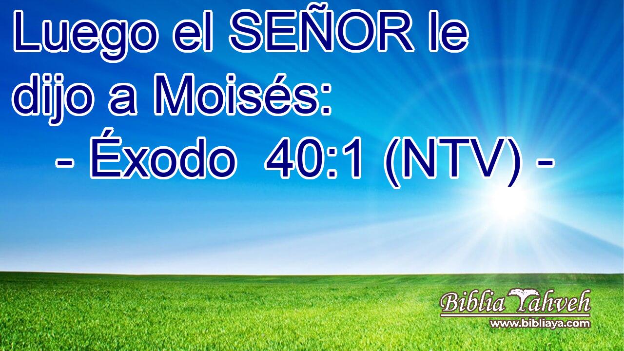 Luego el SEÑOR le dijo a Moisés: