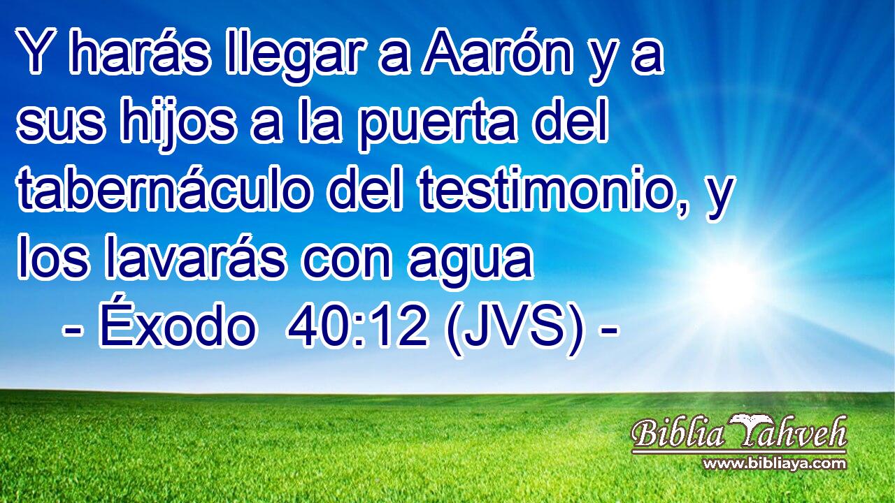 Y harás llegar a Aarón y a sus hijos a la puerta del tabernáculo del testimonio, y los lavarás con agua
