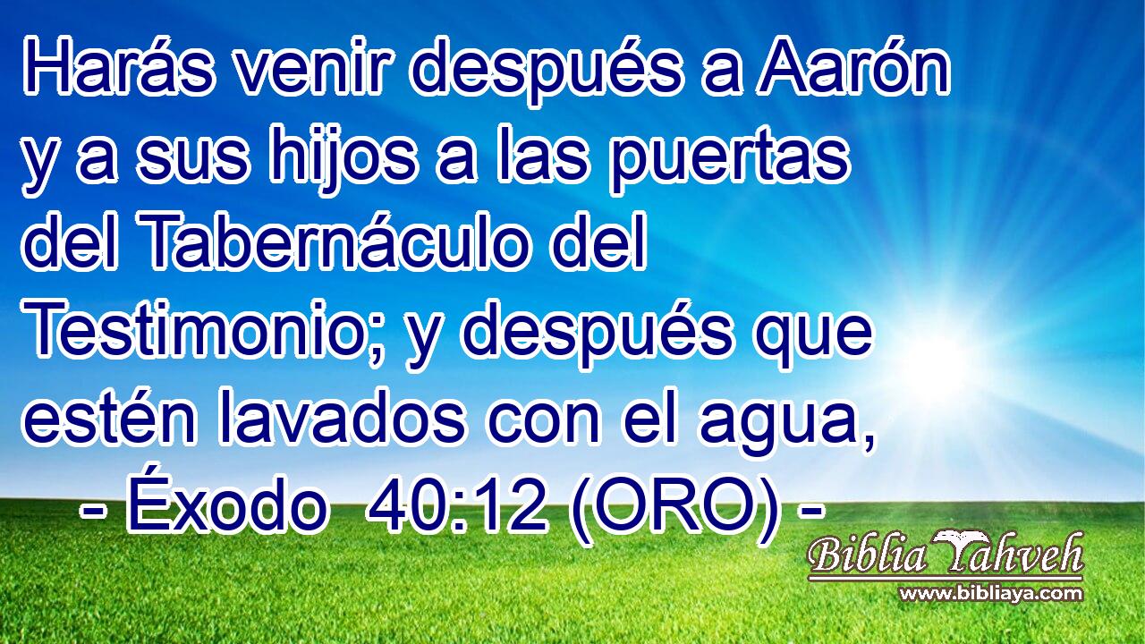  Harás venir después a Aarón y a sus hijos a las puertas del Tabernáculo del Testimonio; y después que estén lavados con el agua, 
