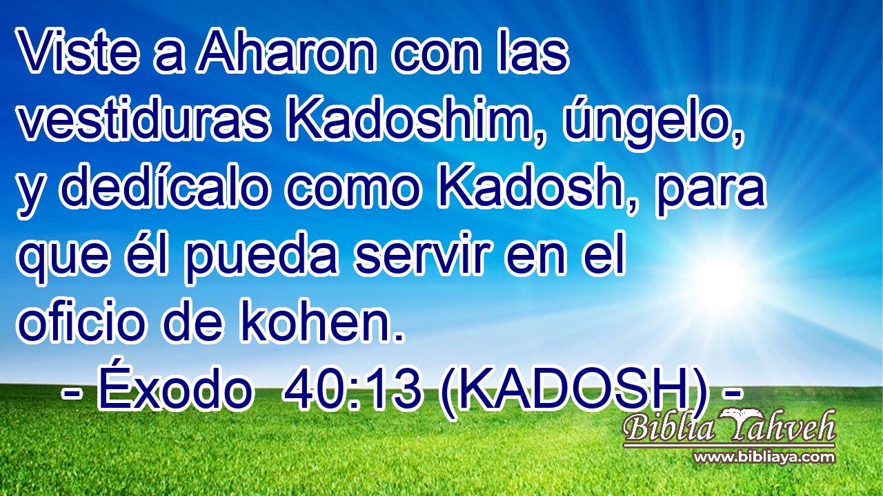  Viste a Aharon con las vestiduras Kadoshim, úngelo, y dedícalo como Kadosh, para que él pueda servir en el oficio de kohen. 