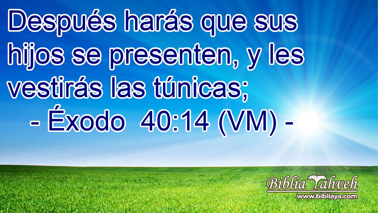  Después harás que sus hijos se presenten, y les vestirás las túnicas; 