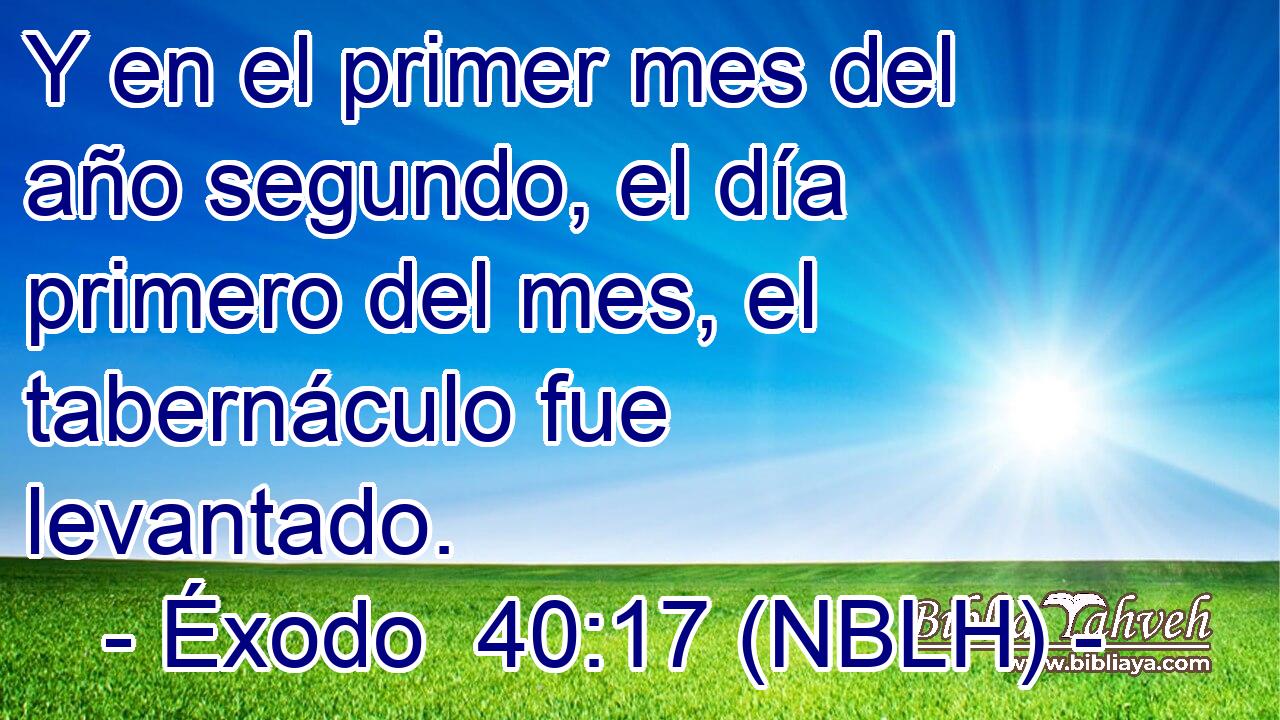 Y en el primer mes del año segundo, el día primero del mes, el tabernáculo fue levantado. 