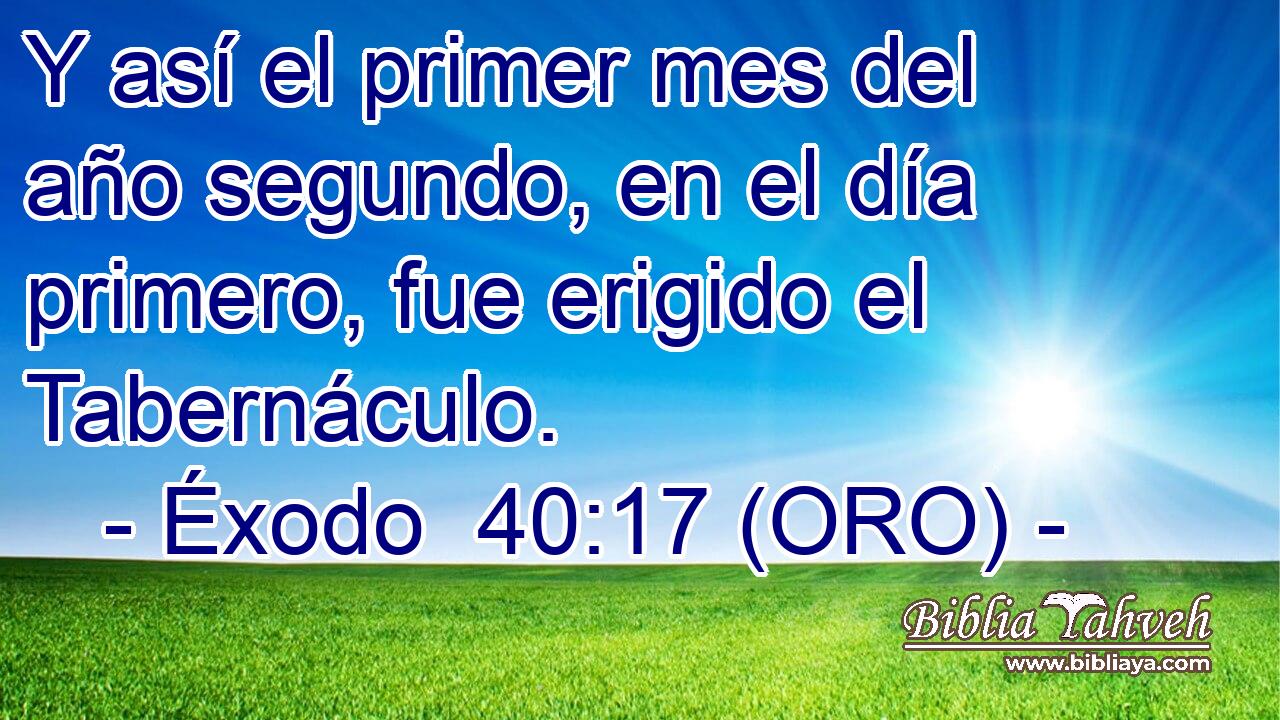  Y así el primer mes del año segundo, en el día primero, fue erigido el Tabernáculo. 