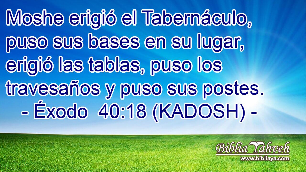  Moshe erigió el Tabernáculo, puso sus bases en su lugar, erigió las tablas, puso los travesaños y puso sus postes. 
