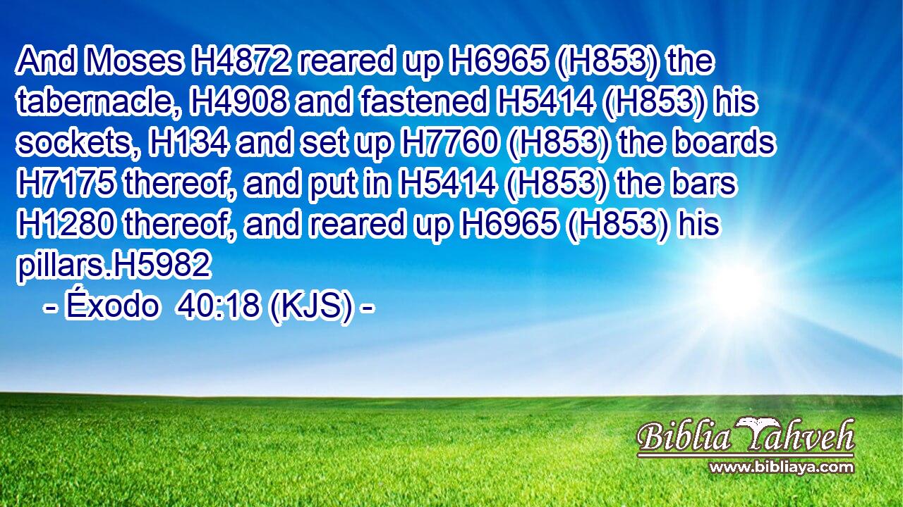 And Moses H4872 reared up H6965 (H853) the tabernacle, H4908 and fastened H5414 (H853) his sockets, H134 and set up H7760 (H853) the boards H7175 thereof, and put in H5414 (H853) the bars H1280 thereof, and reared up H6965 (H853) his pillars.H5982
