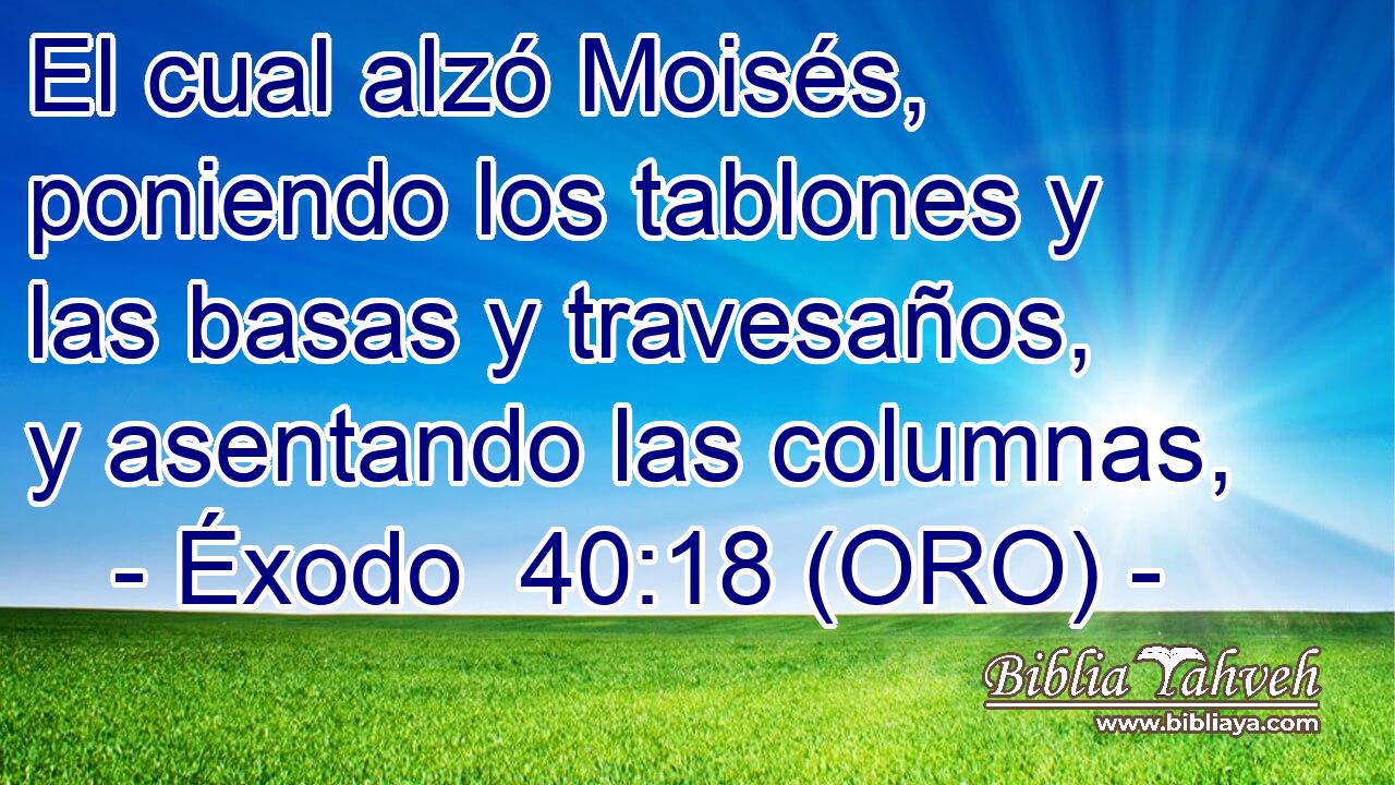  El cual alzó Moisés, poniendo los tablones y las basas y travesaños, y asentando las columnas, 