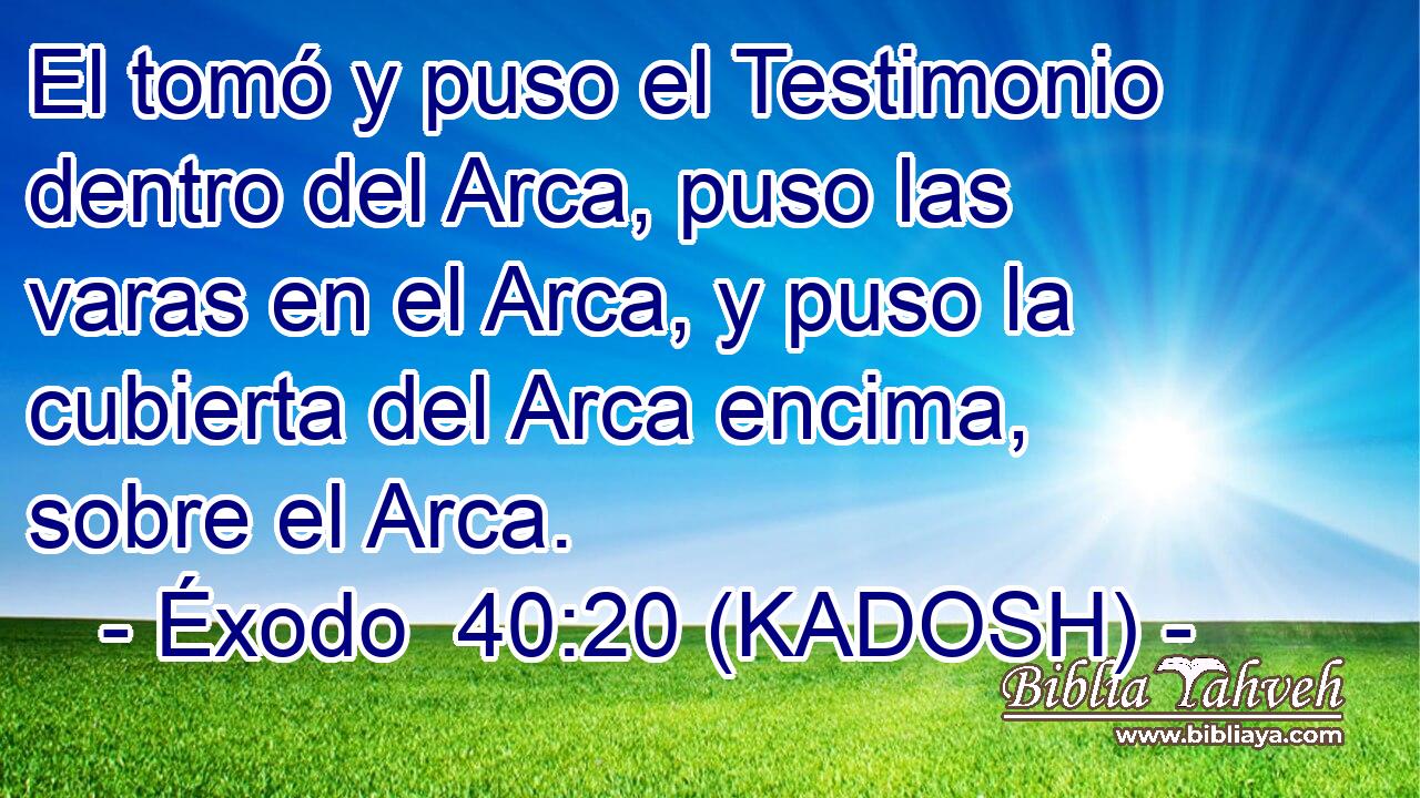  El tomó y puso el Testimonio dentro del Arca, puso las varas en el Arca, y puso la cubierta del Arca encima, sobre el Arca. 
