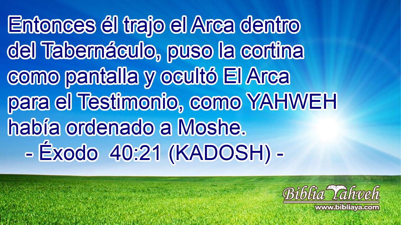  Entonces él trajo el Arca dentro del Tabernáculo, puso la cortina como pantalla y ocultó El Arca para el Testimonio, como YAHWEH había ordenado a Moshe. 