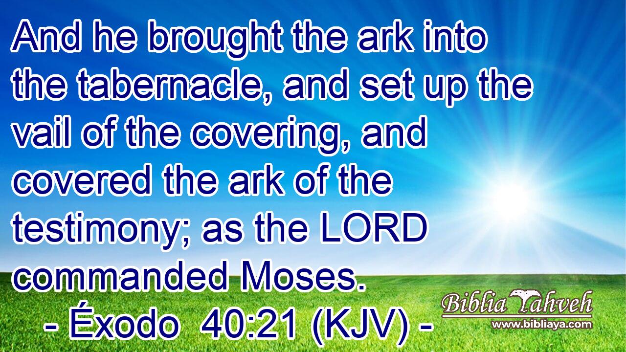 And he brought the ark into the tabernacle, and set up the vail of the covering, and covered the ark of the testimony; as the LORD commanded Moses.