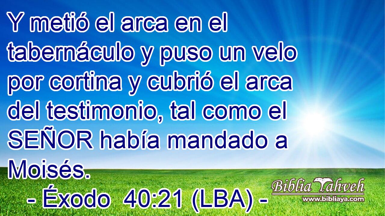 Y metió el arca en el tabernáculo y puso un velo por cortina y cubrió el arca del testimonio, tal como el SEÑOR había mandado a Moisés.