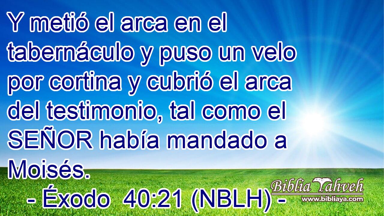  Y metió el arca en el tabernáculo y puso un velo por cortina y cubrió el arca del testimonio, tal como el SEÑOR había mandado a Moisés. 