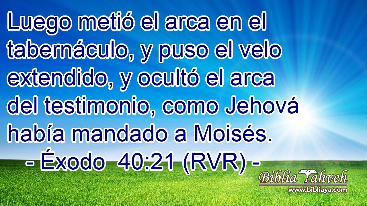 Luego metió el arca en el tabernáculo, y puso el velo extendido, y ocultó el arca del testimonio, como Jehová había mandado a Moisés.