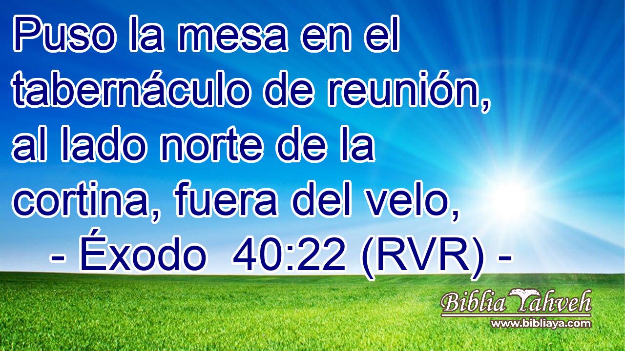 Puso la mesa en el tabernáculo de reunión, al lado norte de la cortina, fuera del velo,