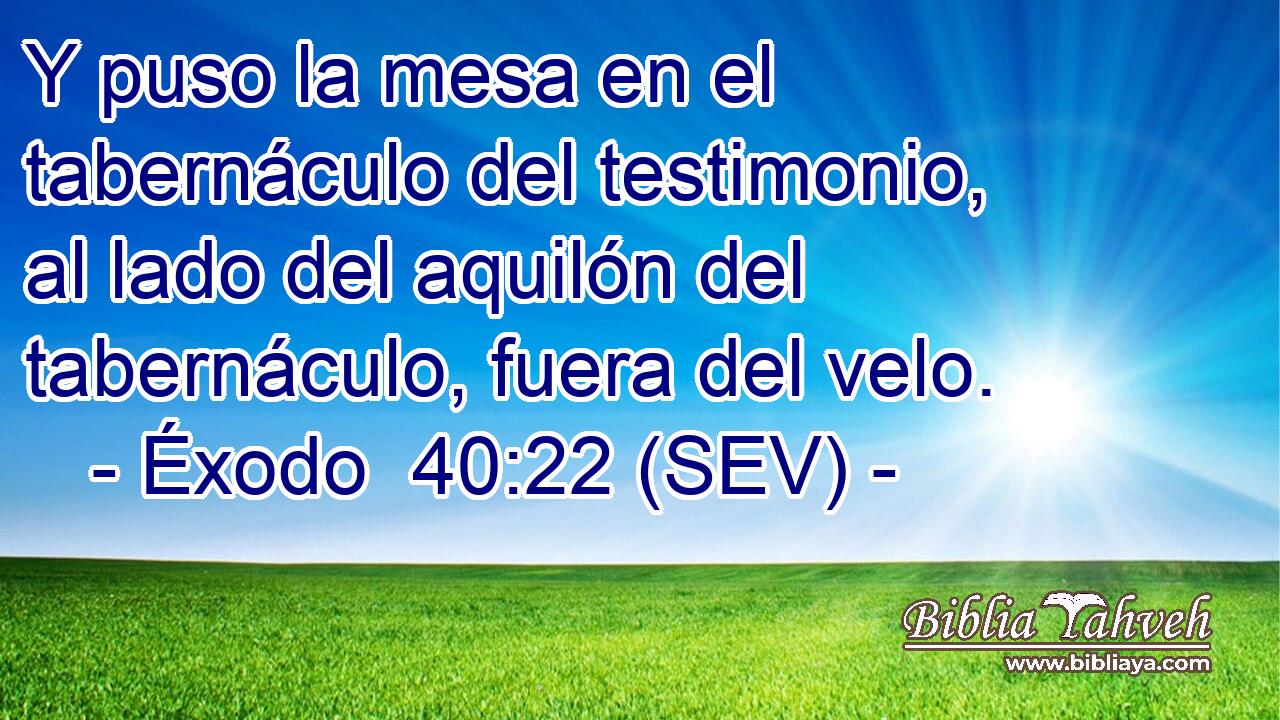 Y puso la mesa en el tabernáculo del testimonio, al lado del aquilón del tabernáculo, fuera del velo.