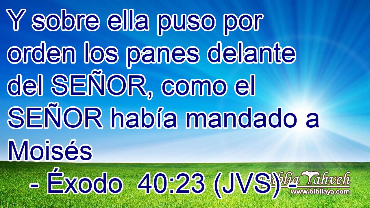 Y sobre ella puso por orden los panes delante del SEÑOR, como el SEÑOR había mandado a Moisés