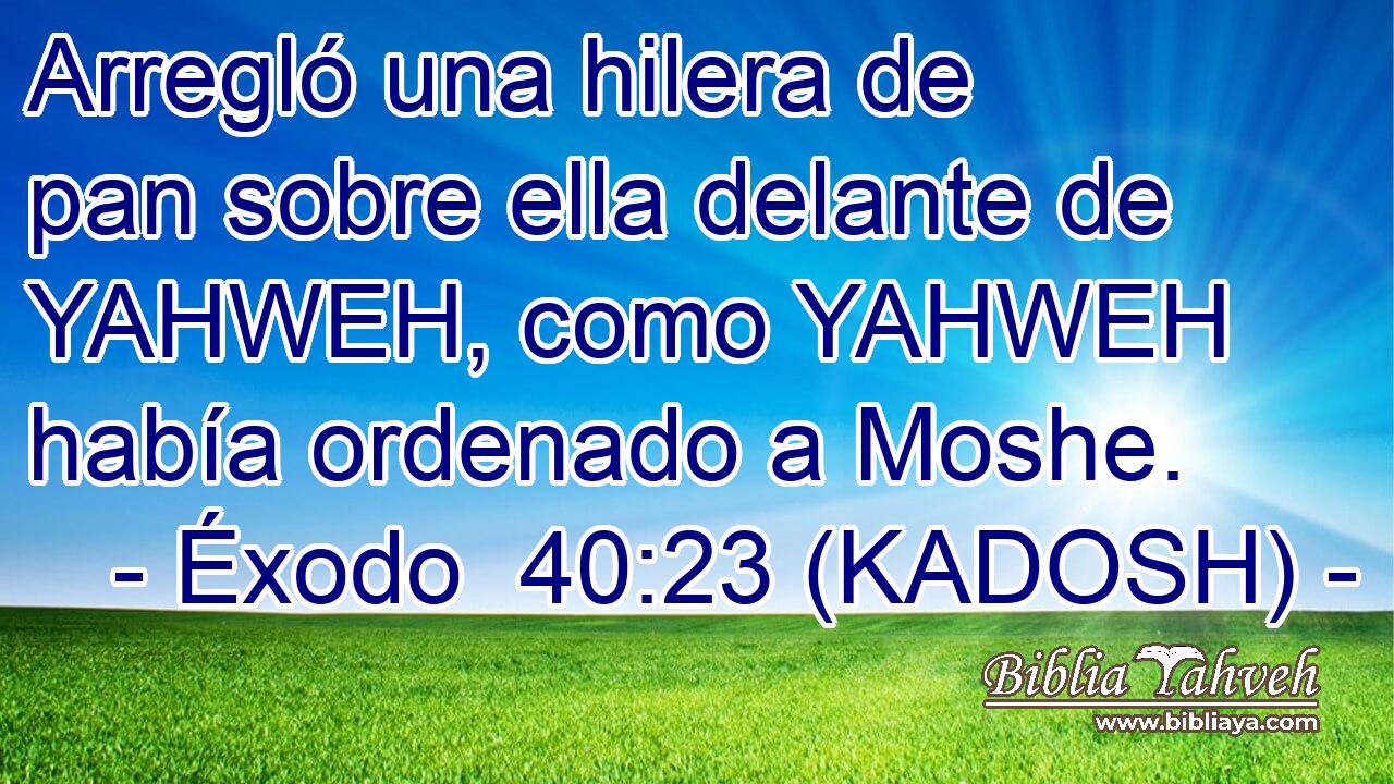  Arregló una hilera de pan sobre ella delante de YAHWEH, como YAHWEH había ordenado a Moshe. 