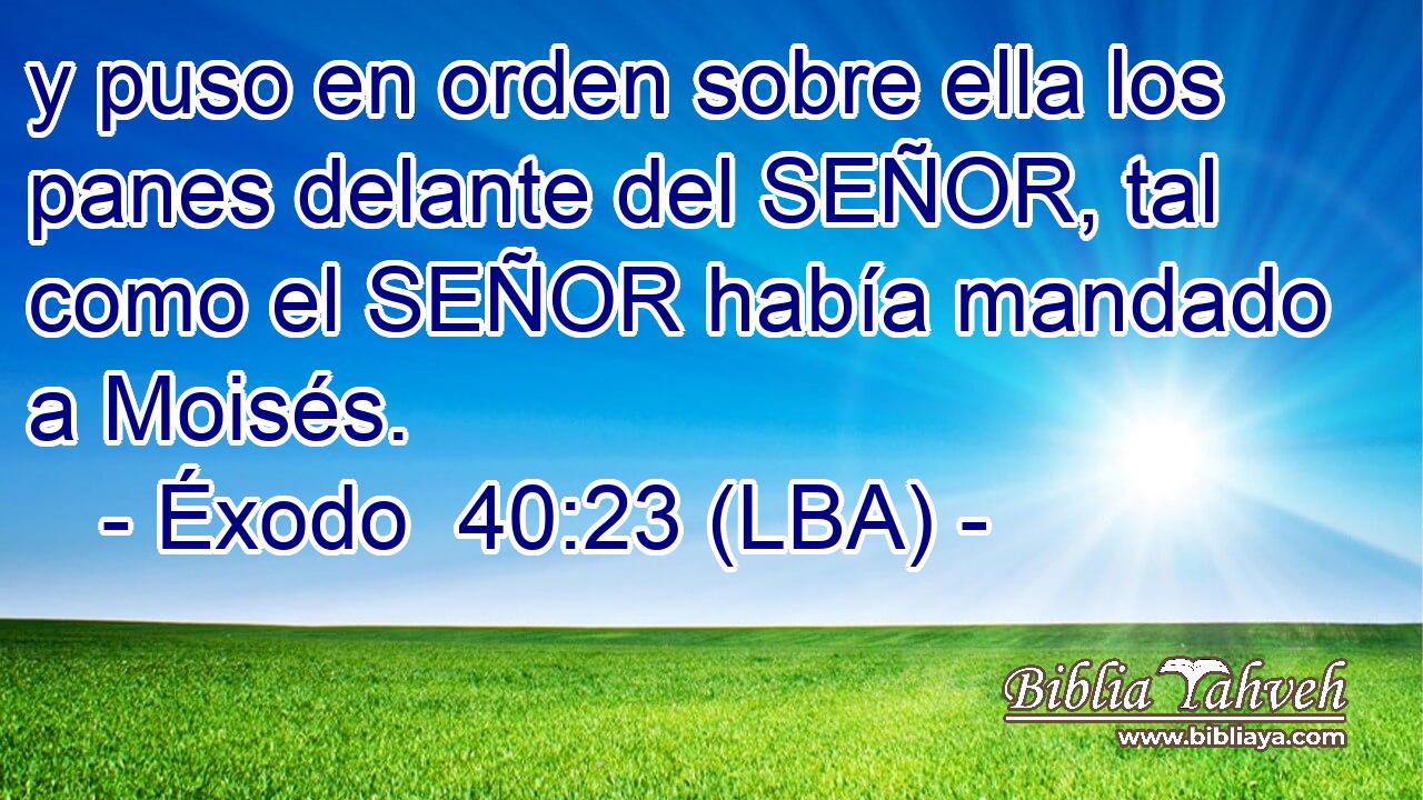 y puso en orden sobre ella los panes delante del SEÑOR, tal como el SEÑOR había mandado a Moisés.
