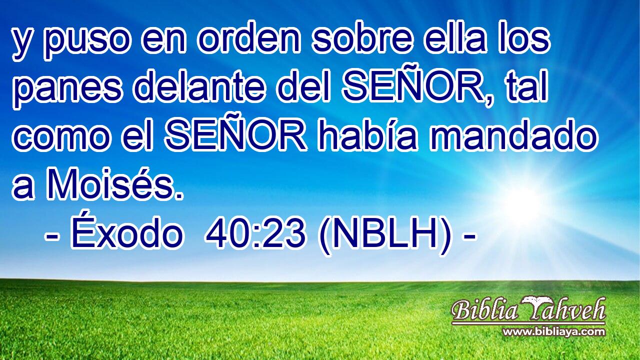  y puso en orden sobre ella los panes delante del SEÑOR, tal como el SEÑOR había mandado a Moisés. 
