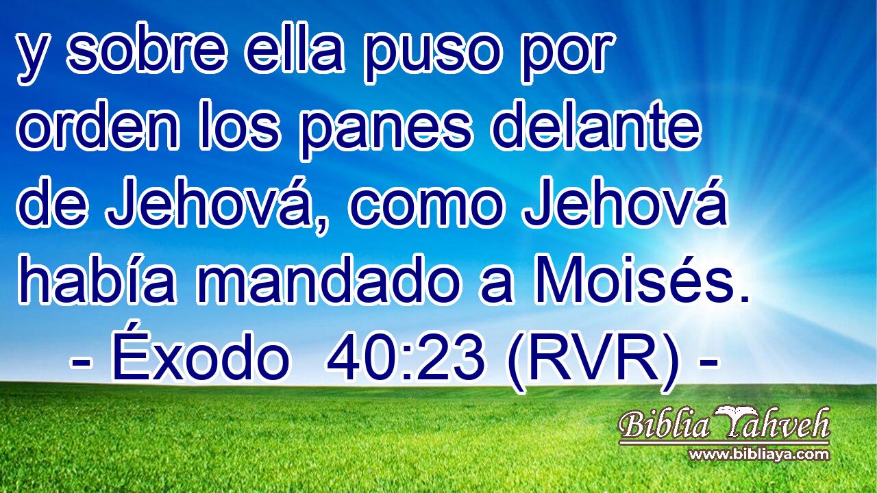y sobre ella puso por orden los panes delante de Jehová, como Jehová había mandado a Moisés.