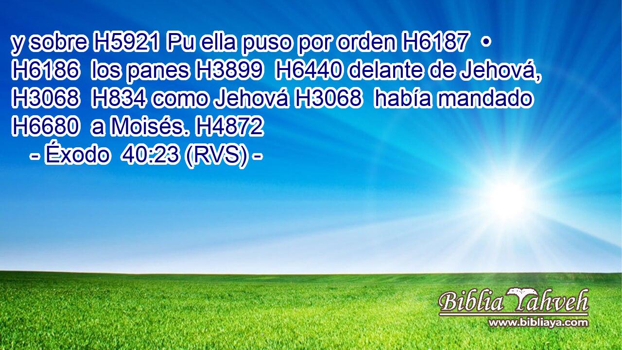 y sobre H5921 Pu ella puso por orden H6187  • H6186  los panes H3899  H6440 delante de Jehová, H3068  H834 como Jehová H3068  había mandado H6680  a Moisés. H4872  