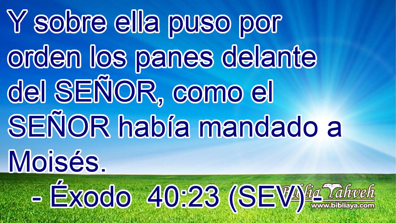 Y sobre ella puso por orden los panes delante del SEÑOR, como el SEÑOR había mandado a Moisés.