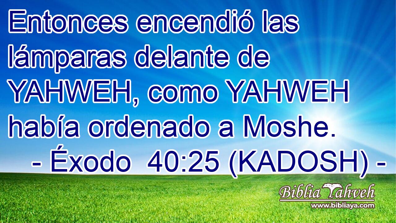  Entonces encendió las lámparas delante de YAHWEH, como YAHWEH había ordenado a Moshe. 