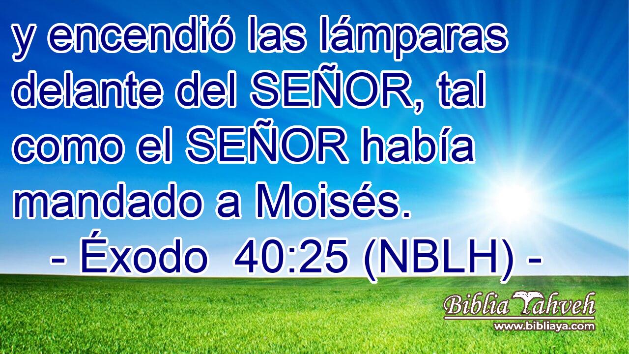  y encendió las lámparas delante del SEÑOR, tal como el SEÑOR había mandado a Moisés. 