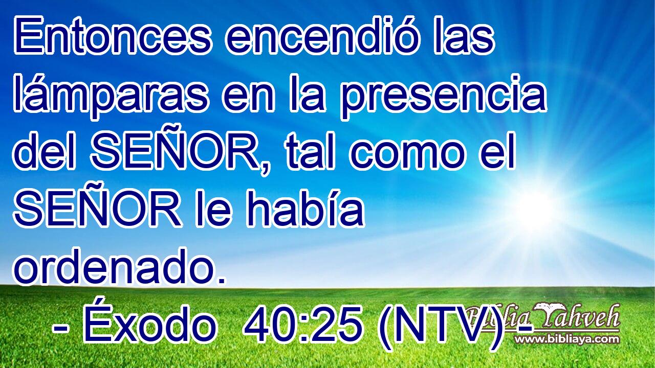 Entonces encendió las lámparas en la presencia del SEÑOR, tal como el SEÑOR le había ordenado.