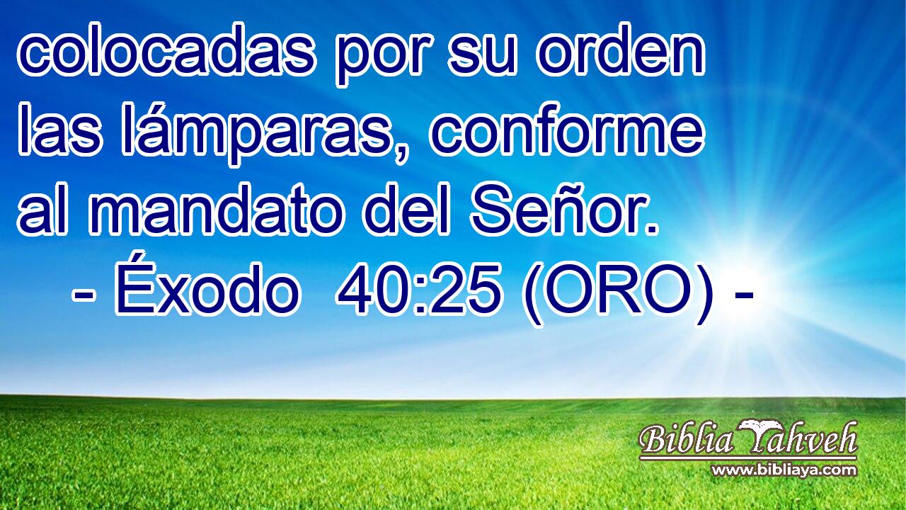  colocadas por su orden las lámparas, conforme al mandato del Señor. 