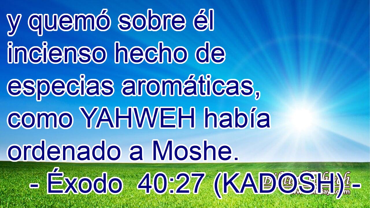  y quemó sobre él incienso hecho de especias aromáticas, como YAHWEH había ordenado a Moshe. 