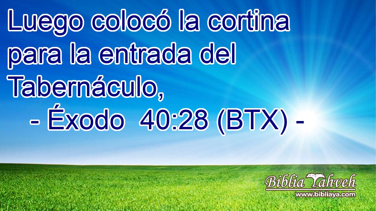 Luego colocó la cortina para la entrada del Tabernáculo,