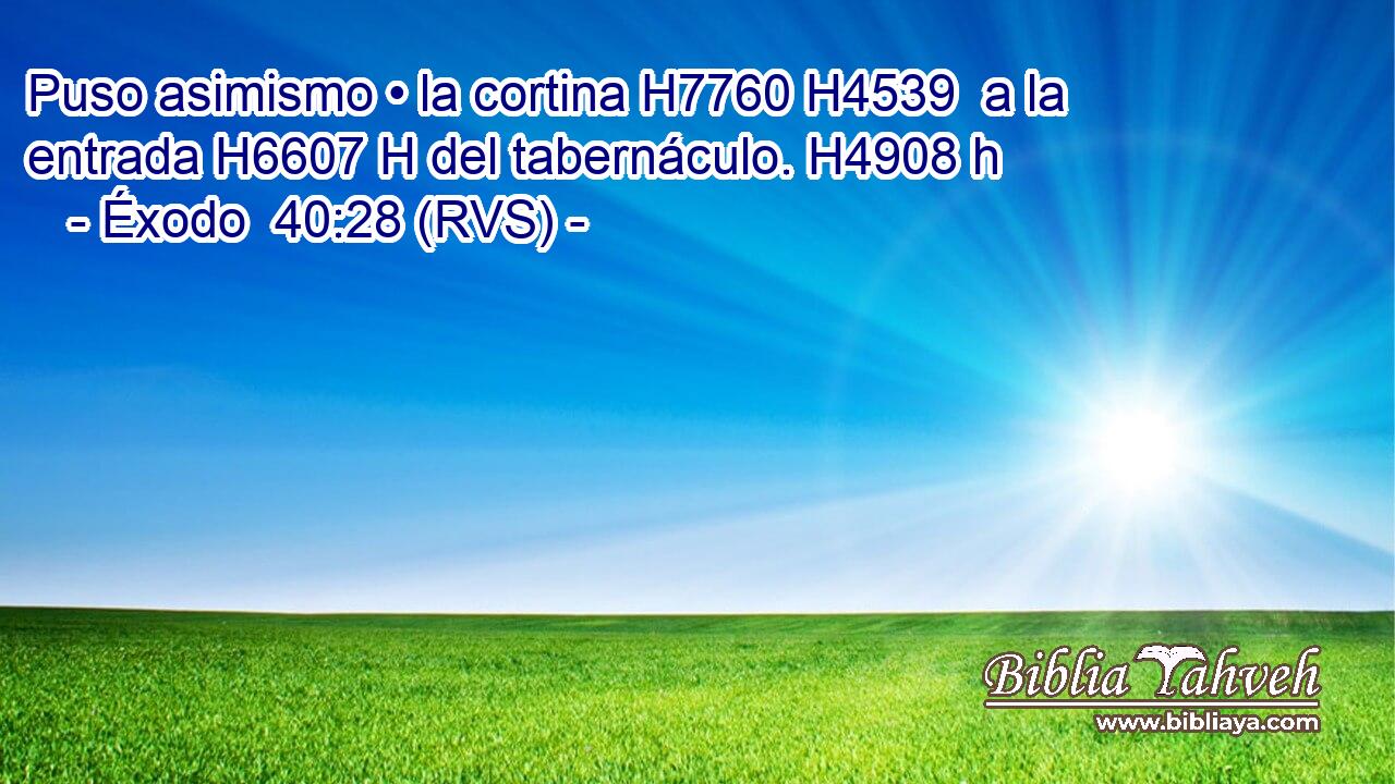 Puso asimismo • la cortina H7760 H4539  a la entrada H6607 H del tabernáculo. H4908 h 