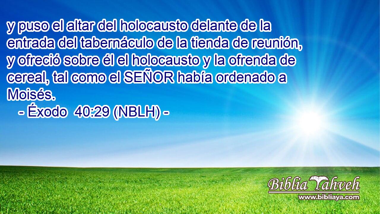  y puso el altar del holocausto delante de la entrada del tabernáculo de la tienda de reunión, y ofreció sobre él el holocausto y la ofrenda de cereal, tal como el SEÑOR había ordenado a Moisés. 