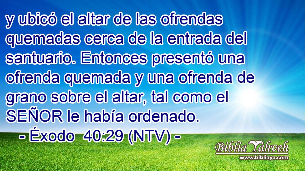y ubicó el altar de las ofrendas quemadas cerca de la entrada del santuario. Entonces presentó una ofrenda quemada y una ofrenda de grano sobre el altar, tal como el SEÑOR le había ordenado.
