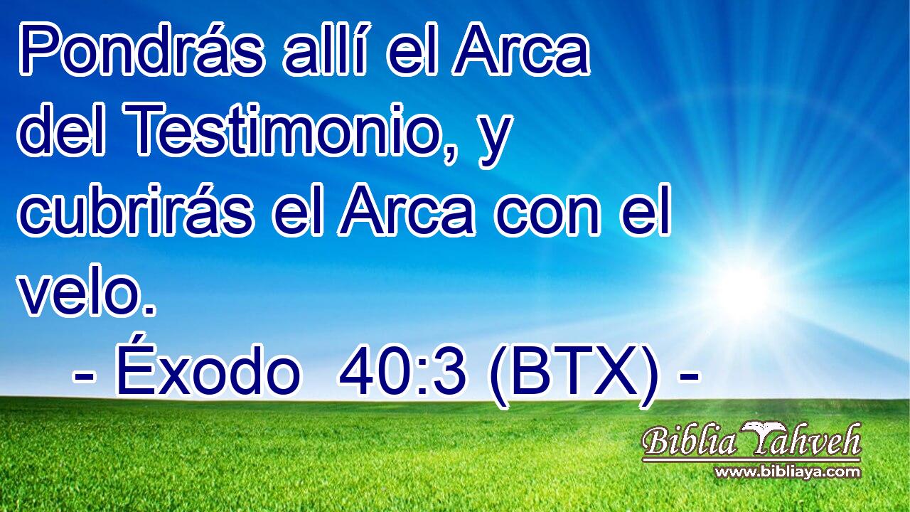 Pondrás allí el Arca del Testimonio, y cubrirás el Arca con el velo.