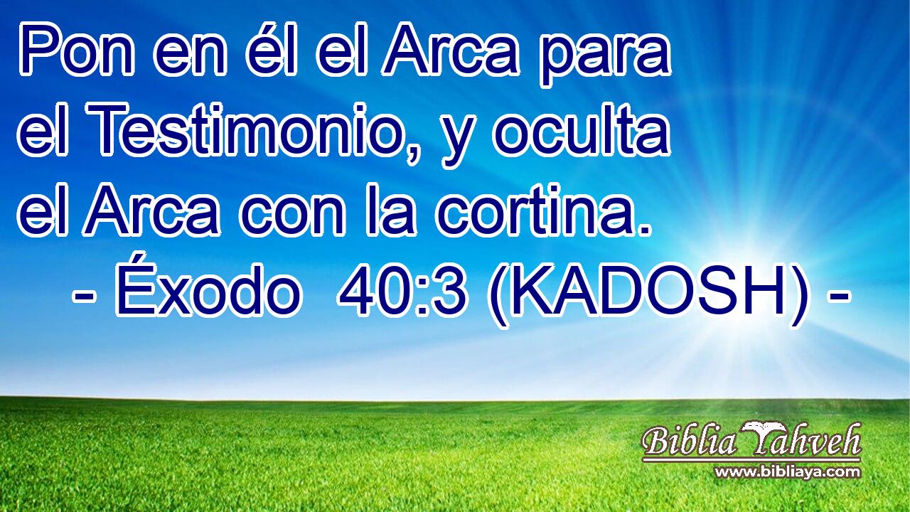  Pon en él el Arca para el Testimonio, y oculta el Arca con la cortina. 