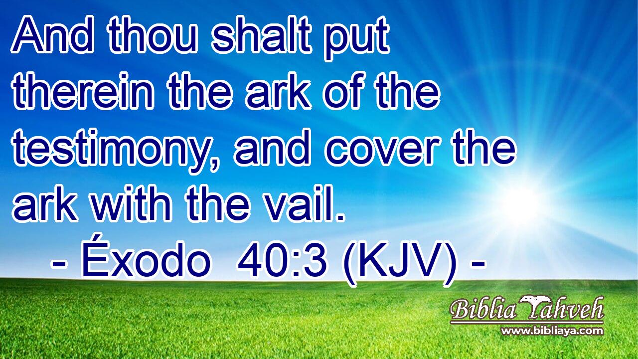 And thou shalt put therein the ark of the testimony, and cover the ark with the vail.