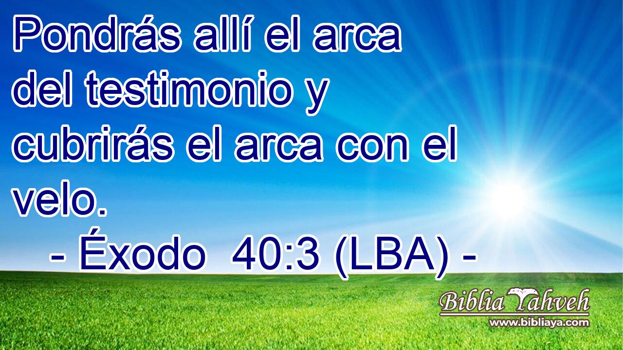 Pondrás allí el arca del testimonio y cubrirás el arca con el velo.