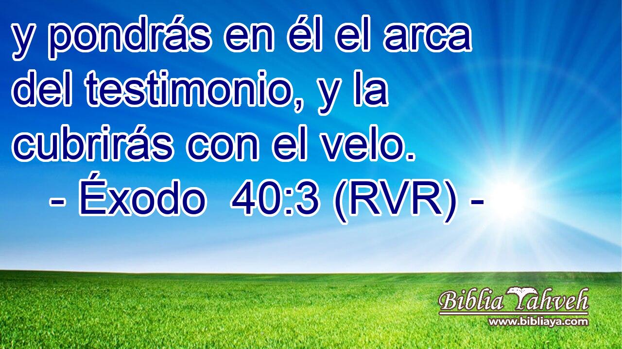 y pondrás en él el arca del testimonio, y la cubrirás con el velo.