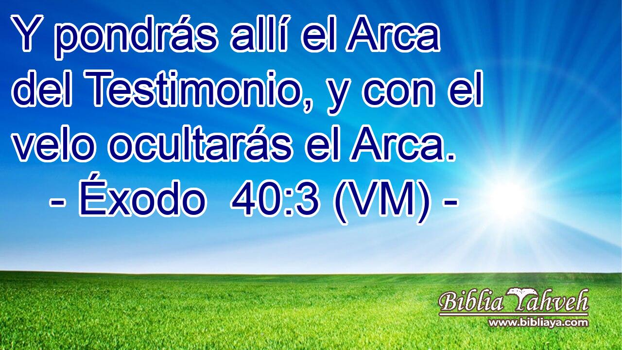  Y pondrás allí el Arca del Testimonio, y con el velo ocultarás el Arca. 