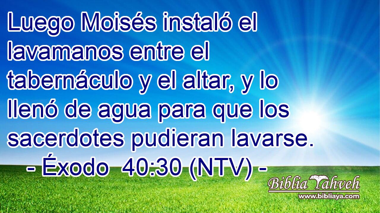 Luego Moisés instaló el lavamanos entre el tabernáculo y el altar, y lo llenó de agua para que los sacerdotes pudieran lavarse.