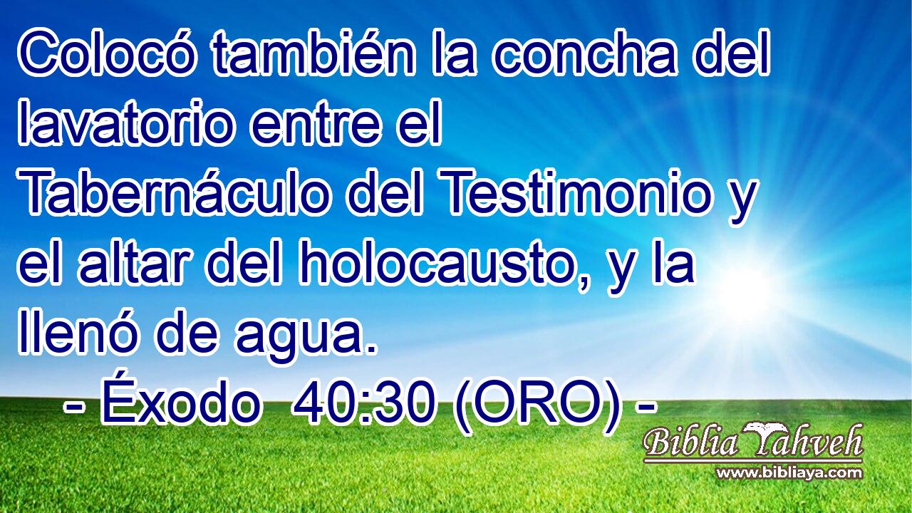  Colocó también la concha del lavatorio entre el Tabernáculo del Testimonio y el altar del holocausto, y la llenó de agua. 