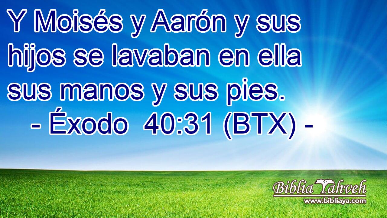 Y Moisés y Aarón y sus hijos se lavaban en ella sus manos y sus pies.