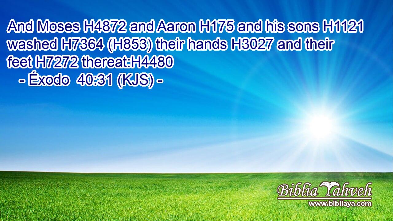 And Moses H4872 and Aaron H175 and his sons H1121 washed H7364 (H853) their hands H3027 and their feet H7272 thereat:H4480