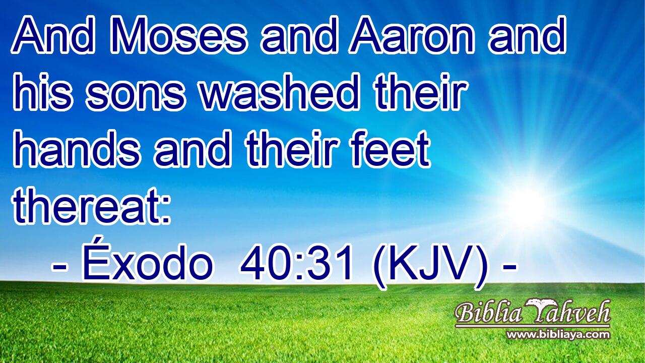 And Moses and Aaron and his sons washed their hands and their feet thereat: