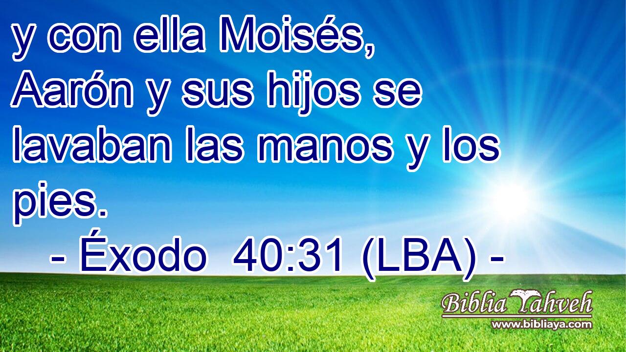 y con ella Moisés, Aarón y sus hijos se lavaban las manos y los pies.