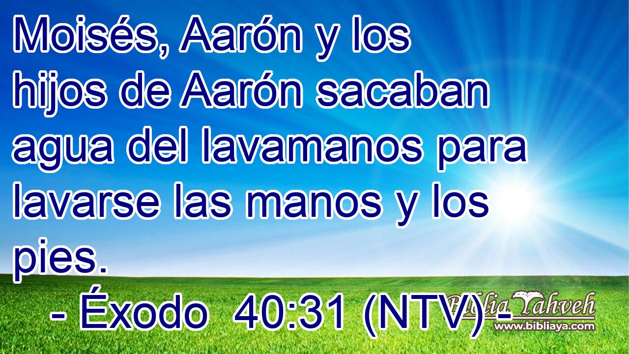 Moisés, Aarón y los hijos de Aarón sacaban agua del lavamanos para lavarse las manos y los pies.